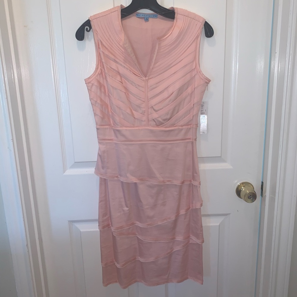 NWT - Antonio Melani Blush Ruffle Size 4 Dress